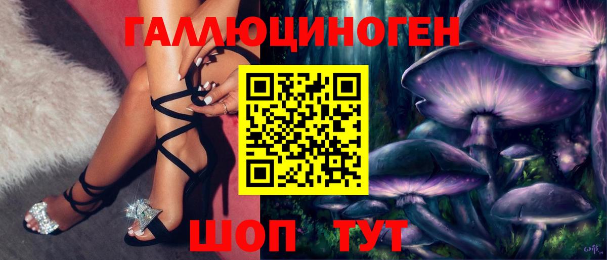 Галлюциногенные грибы GOLDEN TEACHER  цена   Калининград  Вход с VPN 
